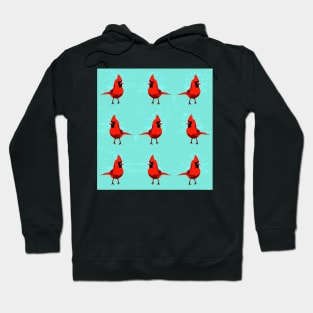 Red Cadinals Hoodie